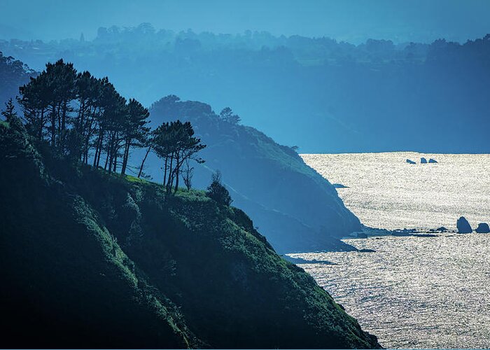 Light Greeting Card featuring the photograph Misty Clifftop Seascape by Chris Lord