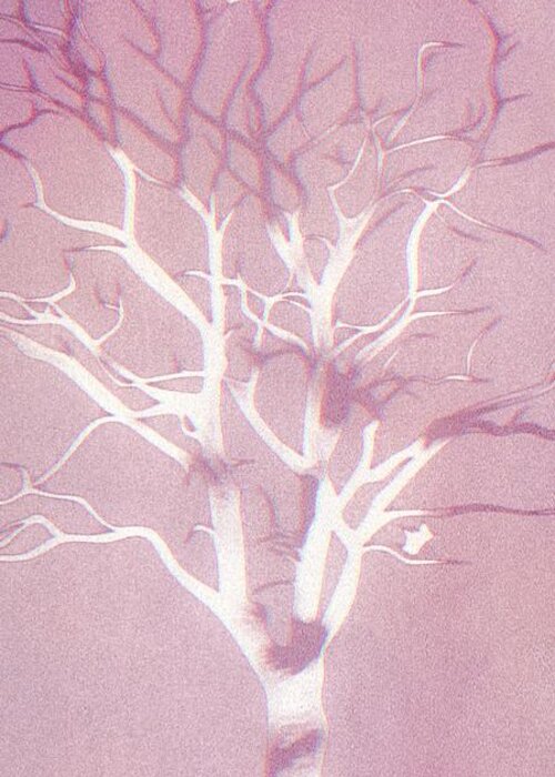 Tree Greeting Card featuring the digital art Misty Fall by Auranatura Art