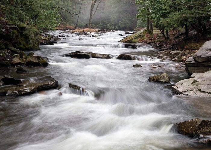 Hickory Run State Park Greeting Card featuring the photograph Misty Forest Stream by Karen Lee Ensley