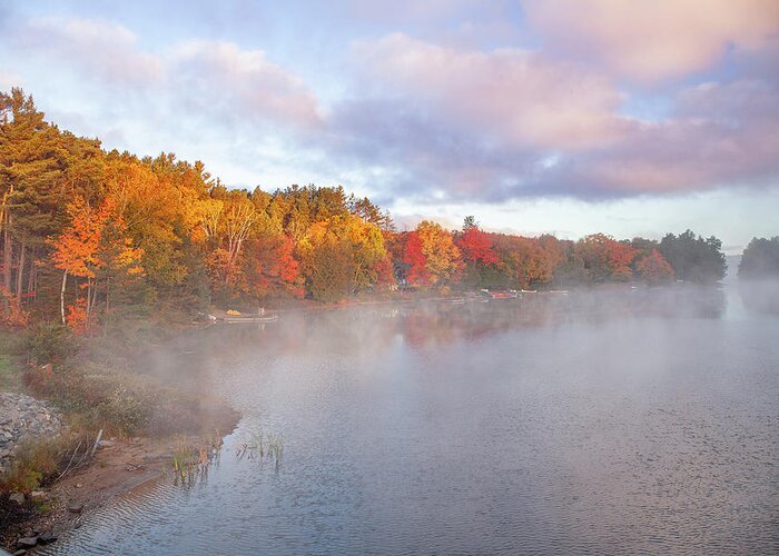 Algonquin Greeting Card featuring the photograph Misty Morning by Manpreet Sokhi
