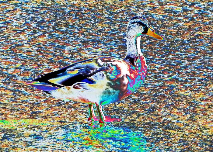 Bird Greeting Card featuring the photograph Modern Abstract Duck by Andrew Lawrence