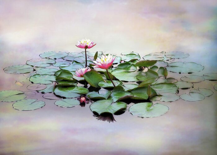 Flowers Greeting Card featuring the photograph Monet Lilies by Jessica Jenney