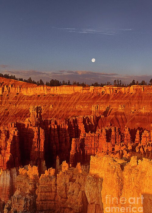 Dave Welling Greeting Card featuring the photograph Moonrise Sunset Point Bryce Canyon National Park Utah by Dave Welling