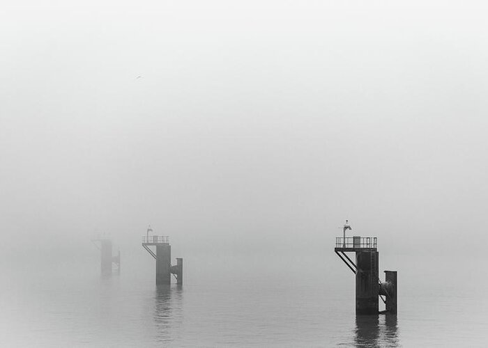 Mooring Greeting Card featuring the photograph Mooring Dolphins in the Fog by Gavin Lewis