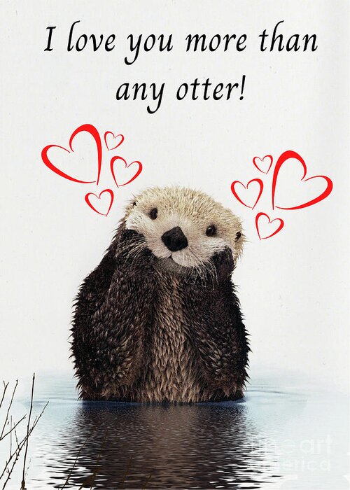 Valentine's Day; Valentine; Card; Otter; Love; Hearts; Pun; Cute; Funny; Greeting Card featuring the digital art More Than Any Otter by Tina Uihlein