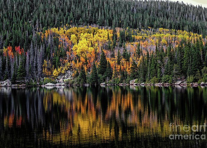 Jon Burch Greeting Card featuring the photograph Morning at Bear Lake by Jon Burch Photography