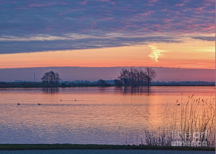 Netherlands Greeting Card featuring the photograph Morning has broken-5 by Casper Cammeraat