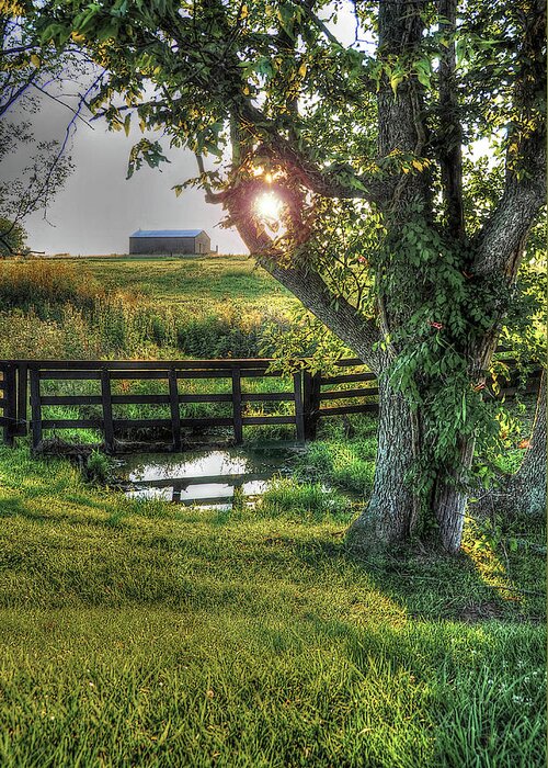 Kentucky Greeting Card featuring the photograph Morning Has Broken by Randall Dill