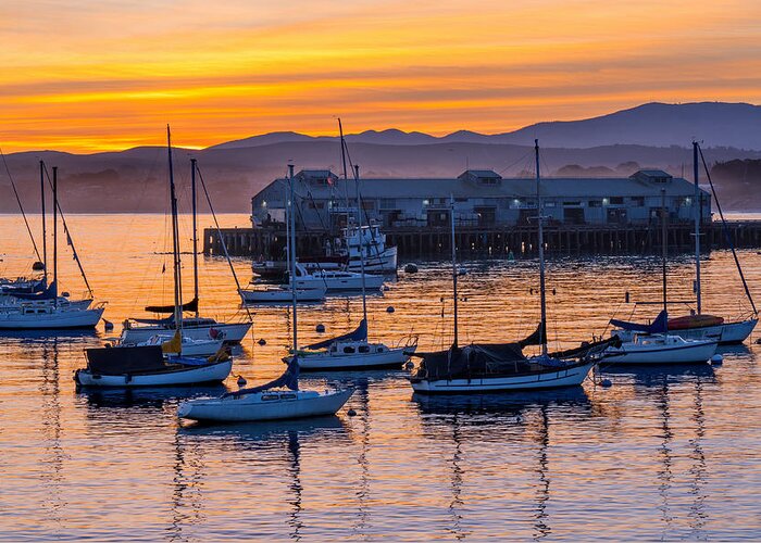 Monterey Greeting Card featuring the photograph Morning Light in Monterey by Derek Dean