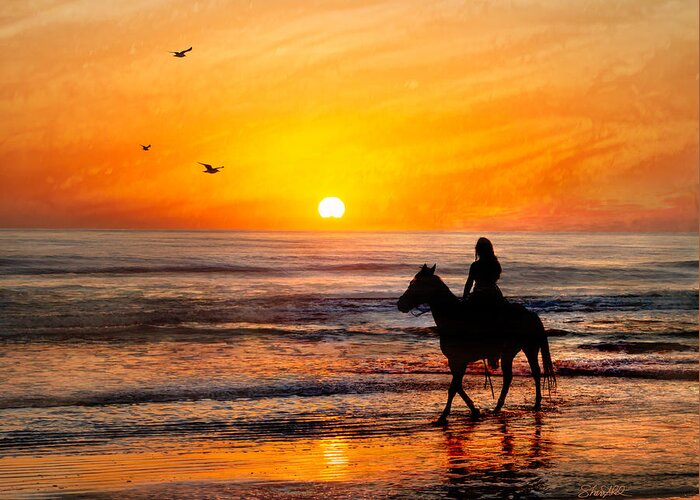 Sunset Greeting Card featuring the photograph Morning Ride-Limited Edition by Shara Abel
