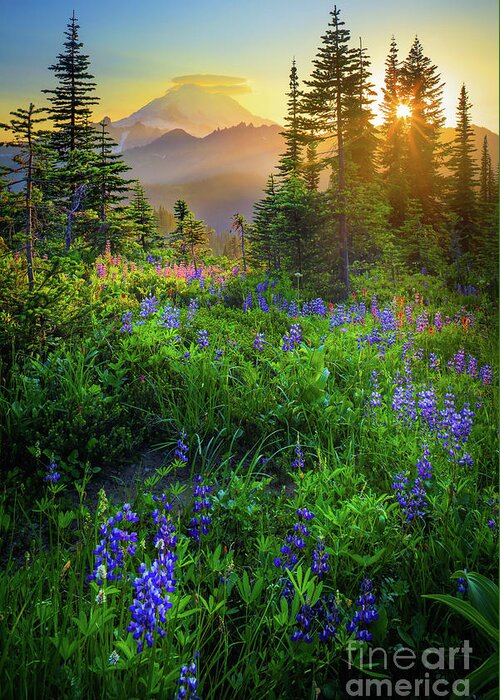 America Greeting Card featuring the photograph Mount Rainier Sunburst by Inge Johnsson