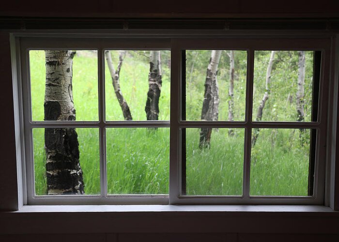 Aspen Greeting Card featuring the photograph Mountain Cabin Aspen by Laura Davis