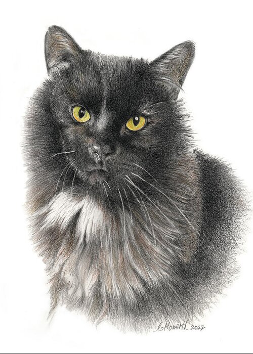 Cat Greeting Card featuring the drawing Mr Moose by Louise Howarth