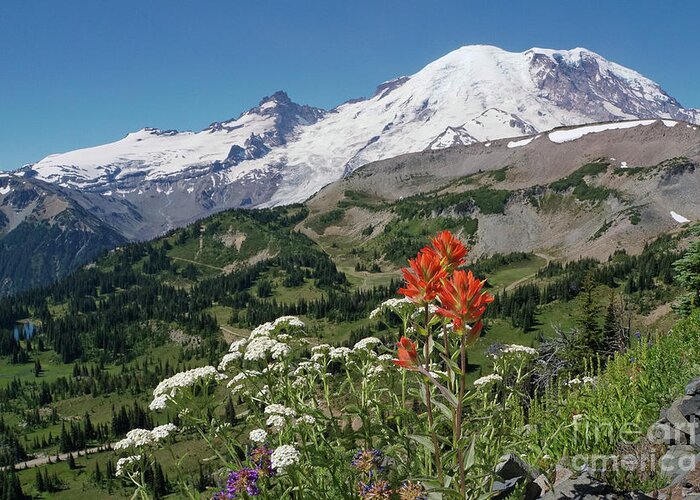 Mount Rainier Greeting Card featuring the photograph Mt. Rainier with Paintbrush Wildflower by Nancy Gleason