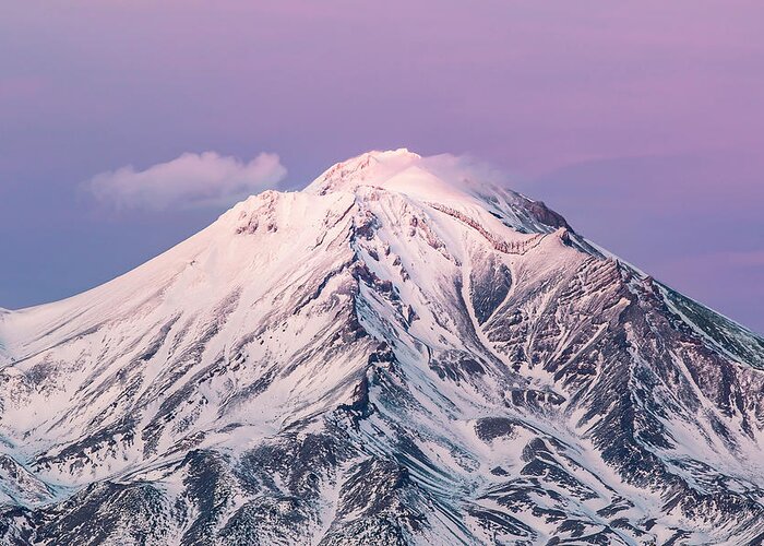 California Greeting Card featuring the photograph Mt. Shasta Pretty N Pink by Gary Geddes
