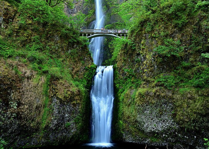 Multnomah Falls Greeting Card featuring the photograph Multnomah Falls - Oregon by Amazing Action Photo Video