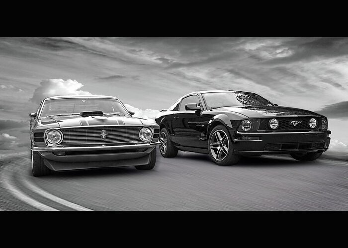 Mustang Greeting Card featuring the photograph Mustang Buddies in Black and White by Gill Billington