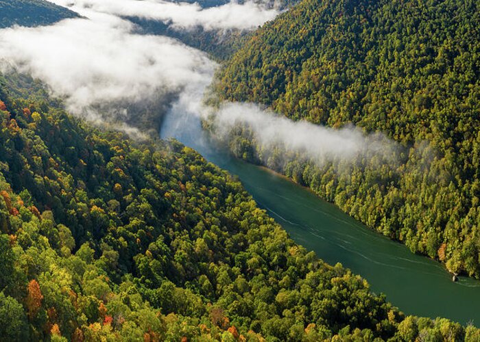 Aerial Greeting Card featuring the photograph Narrow gorge of the Cheat River with mist by Steven Heap