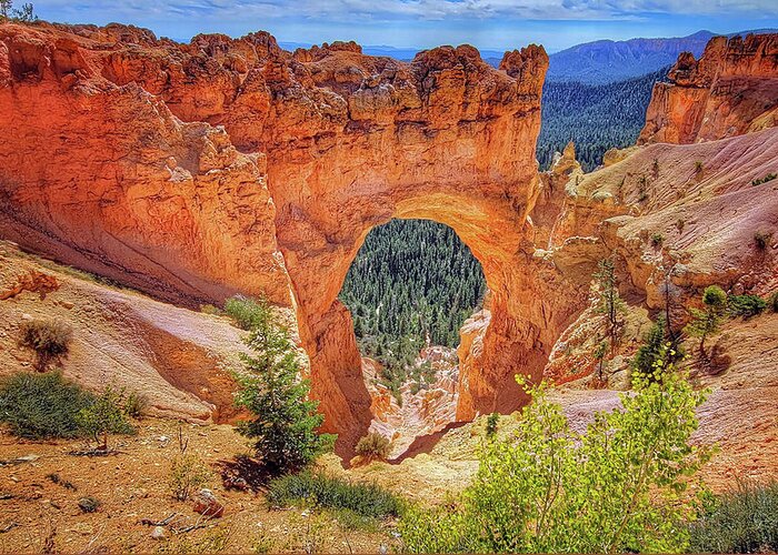 Bryce Canyon National Park Greeting Card featuring the photograph Natural Bridge Bryce Canyon by Suzanne Stout