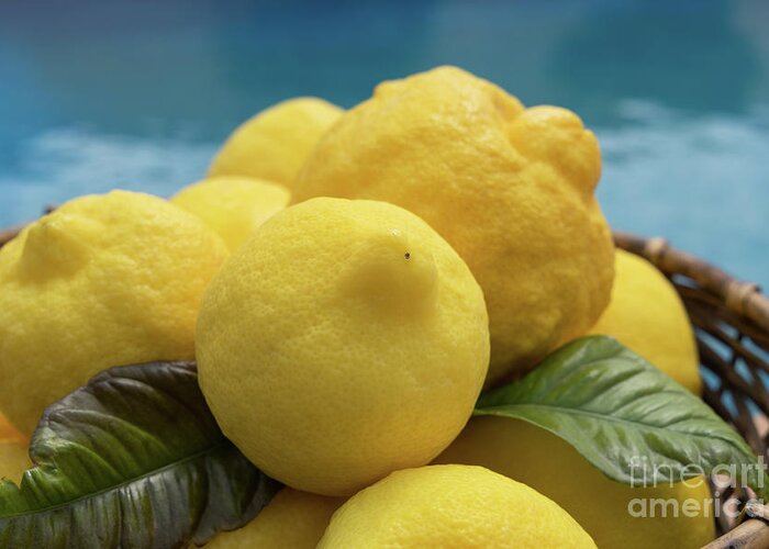 Lemon Tree Greeting Card featuring the photograph Natural lemons and lemon leaves by the pool by Adriana Mueller
