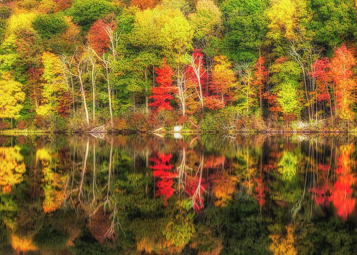 Harriman State Park Greeting Card featuring the photograph Natures Fall Color Palette by Susan Candelario