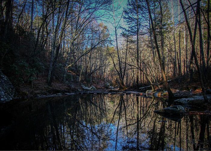 Otter Creek Greeting Card featuring the photograph Nature's Reflections by Deb Beausoleil