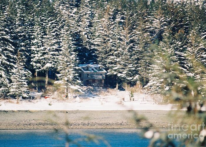 #winter #snow #snowy #forrestretreat #alaska #ak #juneau #cruise #tours #vacation #peaceful #sealaska #southeastalaska #calm #35mm #analog #film #sprucewoodstudios Greeting Card featuring the photograph Nestled in the Snow by Charles Vice