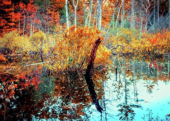 Colors Of Autumn Greeting Card featuring the photograph New England wetland in fall by Lilia S