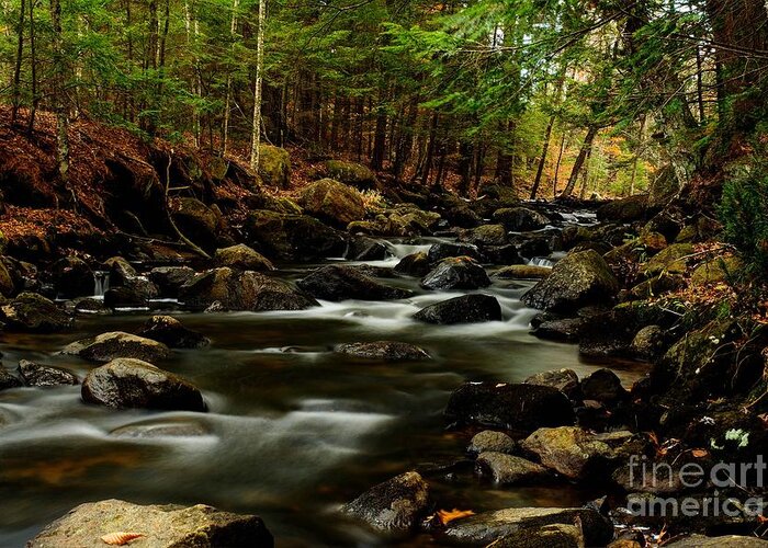 New Hampshire Greeting Card featuring the photograph New Hampshire Brook by Steve Brown