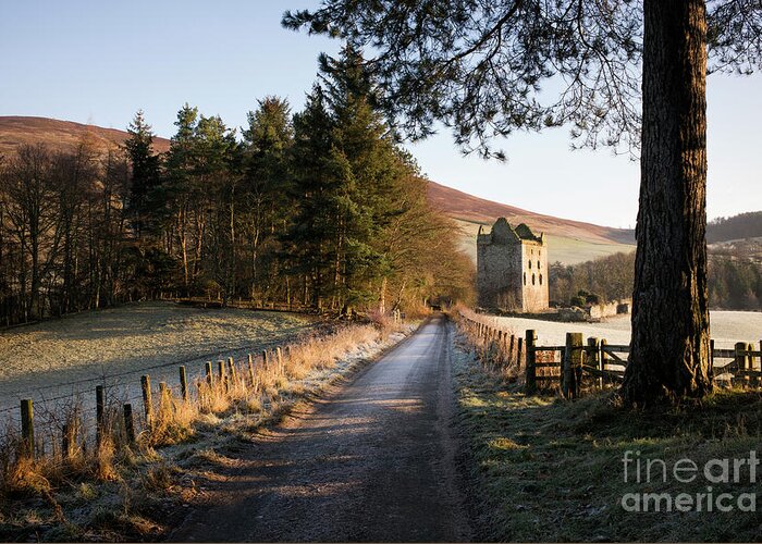 Newark Tower Greeting Card featuring the photograph Newark tower Bowhill House Estate in Winter by Tim Gainey