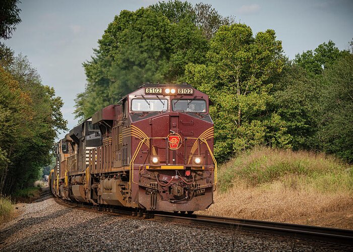 Railroad Greeting Card featuring the photograph Norfolk Southern 168, With NS Pennsylvania Heritage Unit 8102 At Ayrshire by Jim Pearson