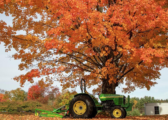 Autumn Foliage Massachusetts Greeting Card featuring the photograph Tractor under Orange Maple Tree by Jeff Folger