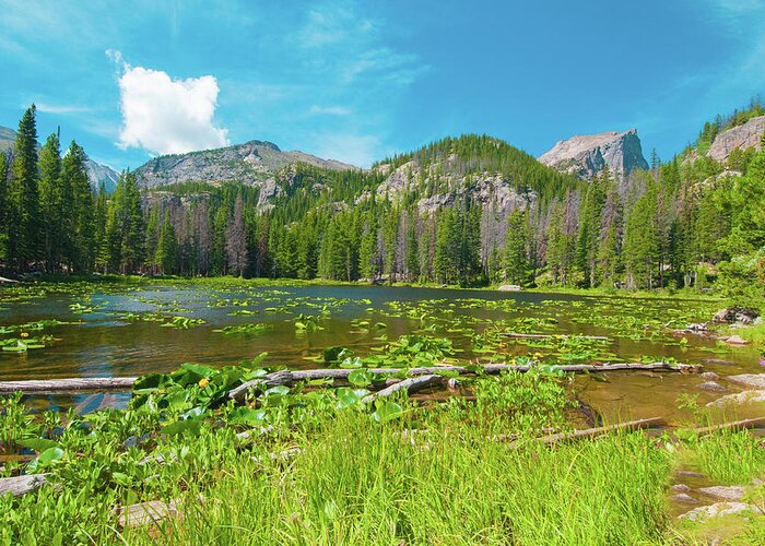Nymph Lake Greeting Card featuring the photograph Nymph Lake, Rocky Mountain National Park, Colorado, USA, North America by Tom Potter