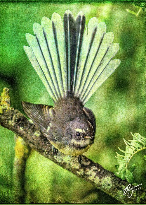 Bird Greeting Card featuring the photograph N.Z. Fantail 2 by Roseanne Jones