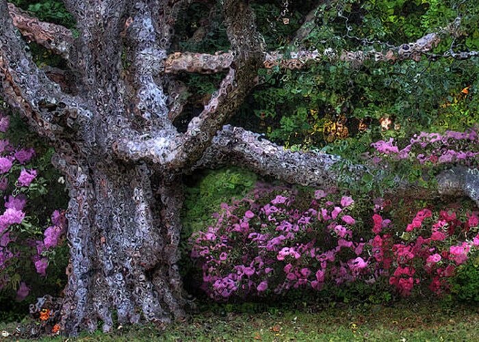 Oak Greeting Card featuring the photograph Oak Rhodie Panorama by Wayne King