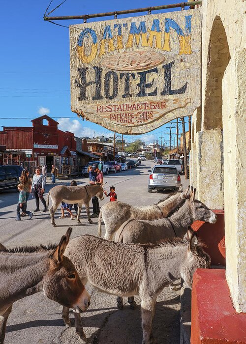 Oatman Greeting Card featuring the photograph Oatman Hotel Check In, Arizona by Don Schimmel