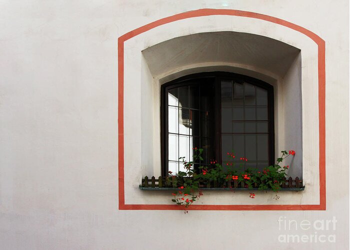 Flowers Greeting Card featuring the photograph Okno - Cesky Krumlov by Rick Locke - Out of the Corner of My Eye