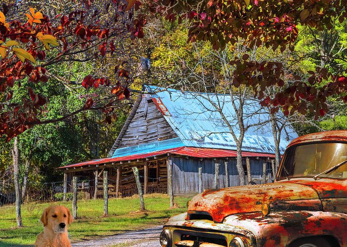 1951 Greeting Card featuring the photograph Ol' Country Rust in Square by Debra and Dave Vanderlaan