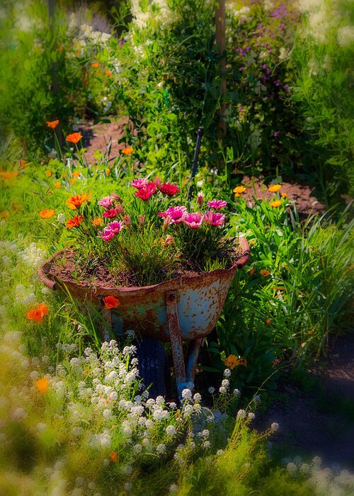 Flowers Greeting Card featuring the photograph Ol' Flower Barrow by Mike-Hope by Michael Hope