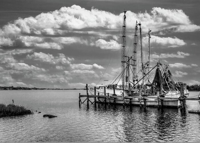 Boats Greeting Card featuring the photograph Old Shrimp Boats in the Harbor Black and White by Debra and Dave Vanderlaan