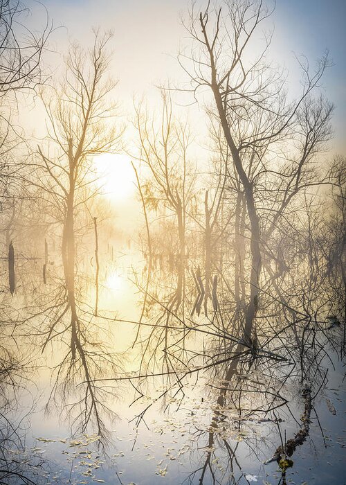 Abstract Greeting Card featuring the photograph Ominous Trees In This Misty Lake by Jordan Hill