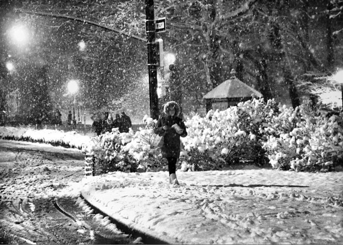 Snow Scene Greeting Card featuring the photograph On a Snowy Night in Central Park No. 2 by Steve Ember