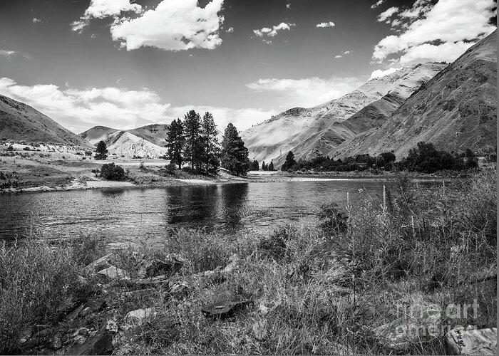 Idaho Greeting Card featuring the photograph On the River by Kathy McClure