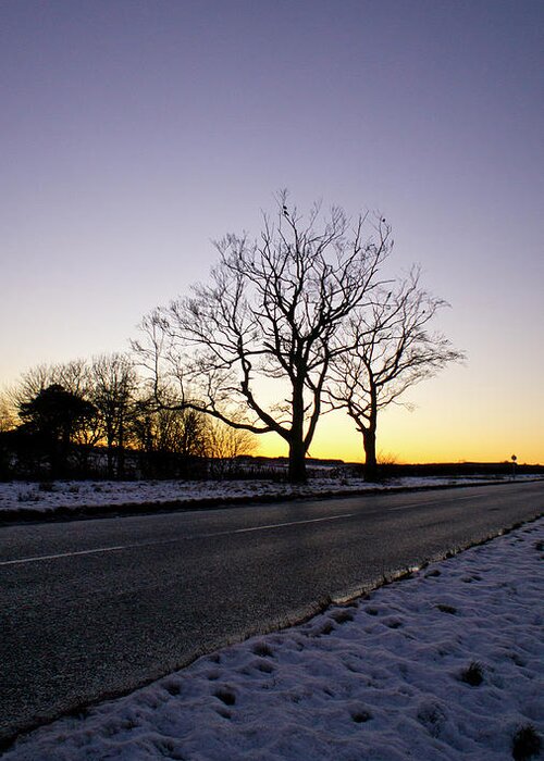 Winter Greeting Card featuring the photograph On the Road to Home by Elena Perelman