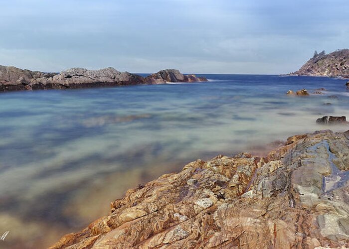 Forster Photography Greeting Card featuring the digital art On The Rocks Forster 88226 by Kevin Chippindall