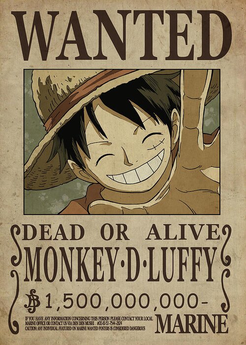one piece wanted / Luffy. | Magnet