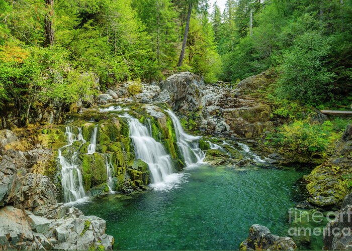 Opal Creek Falls Greeting Card featuring the photograph Opal Creek Falls by Kristine Anderson