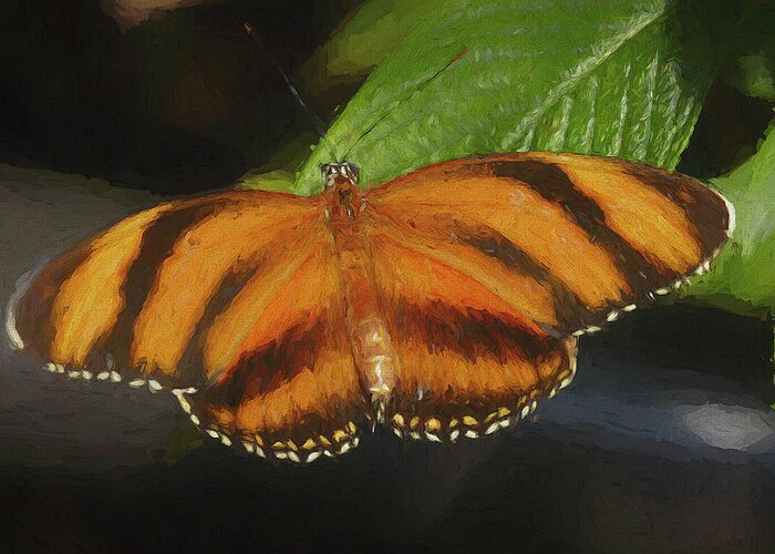Jon Glaser Greeting Card featuring the digital art Orange Butterfly by Jon Glaser