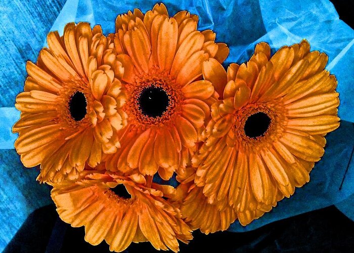 Flowers Greeting Card featuring the photograph Orange Floral by Andrew Lawrence