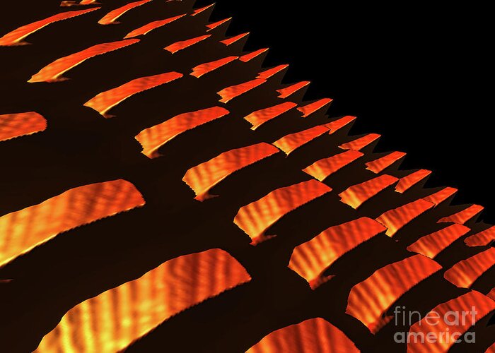 Scales Greeting Card featuring the digital art Orange Reptile Scales by Phil Perkins